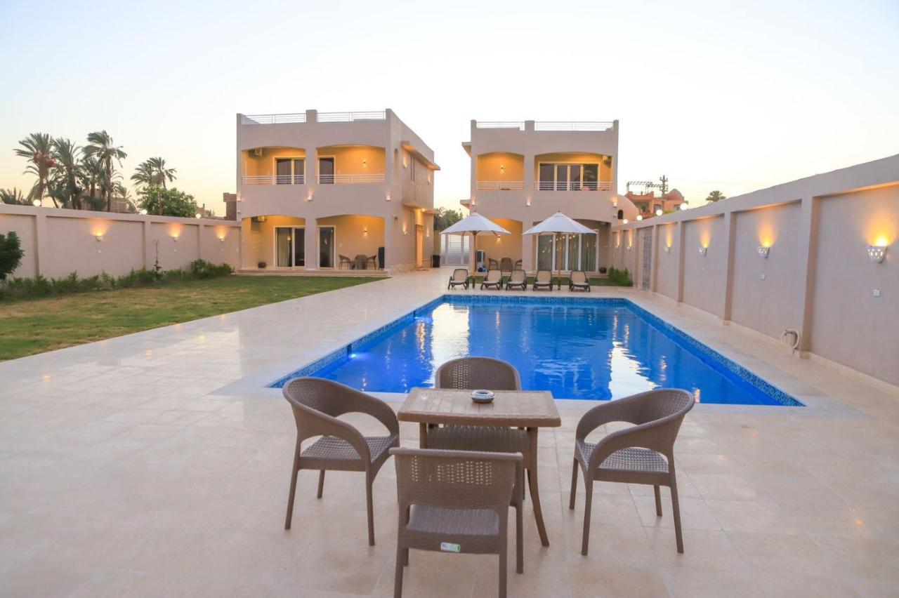 לוקסור Royal Nile Villa - Pool View Apartment 1 מראה חיצוני תמונה