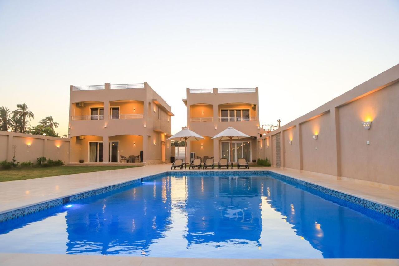 לוקסור Royal Nile Villa - Pool View Apartment 1 מראה חיצוני תמונה