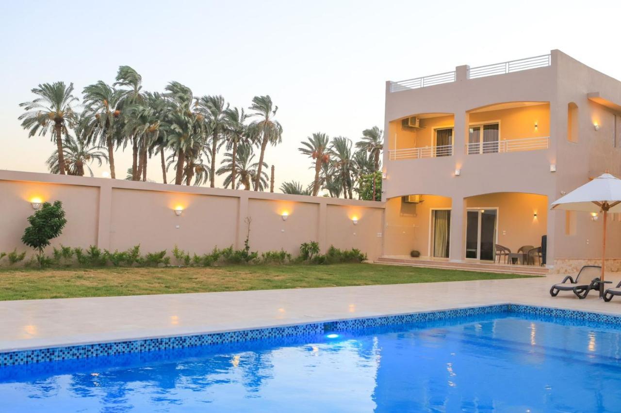 לוקסור Royal Nile Villa - Pool View Apartment 1 מראה חיצוני תמונה